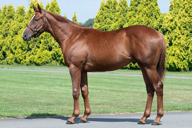 ベルエポック2024