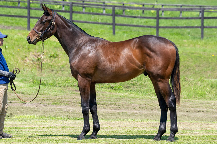 シャンパンレディ2024