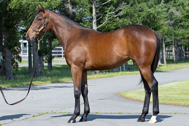 エピックラヴ2024