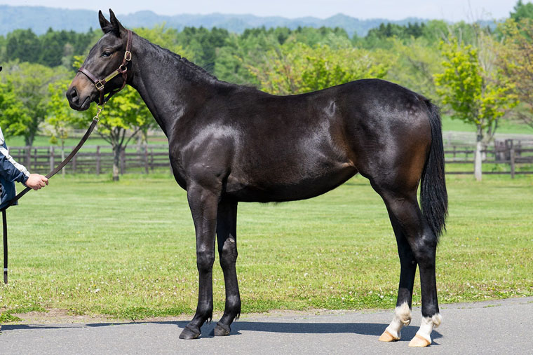 フラッシングジェム2024