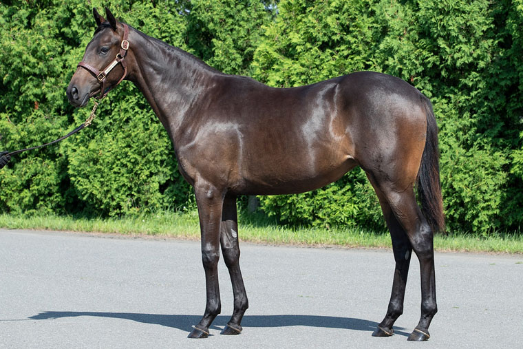 ヒストリックレディ2024