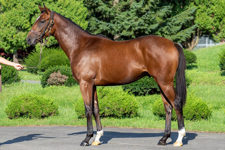 ホールドミータイト2024