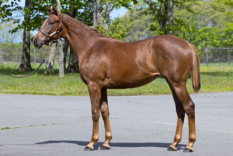 ホートンプレインズ2024