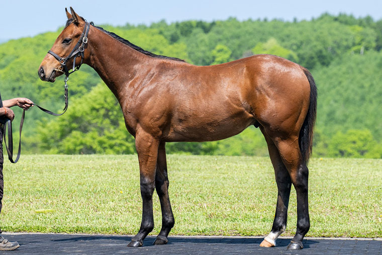 アイワナビリーヴ2024