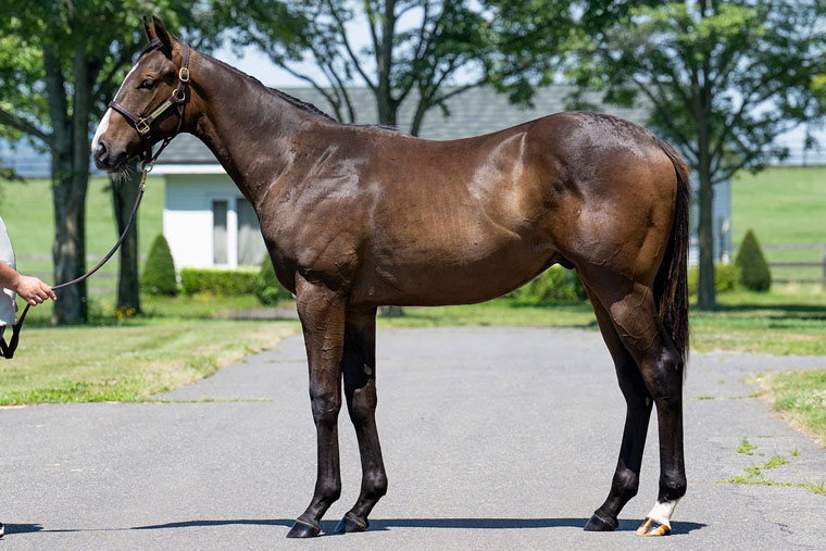 ロングホットサマー2024