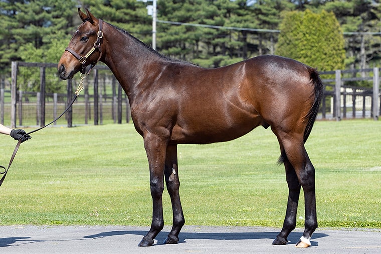 ラヴズオンリーユー2024