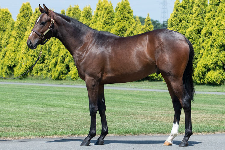 ミスセレンディピティ2024