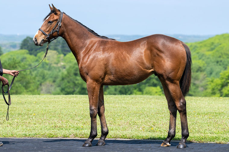 ポウリナズラヴ2024