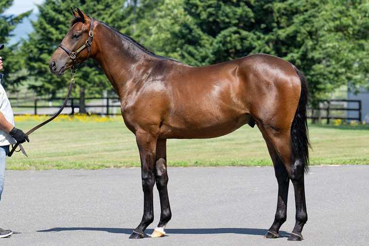 シェーングランツ2024