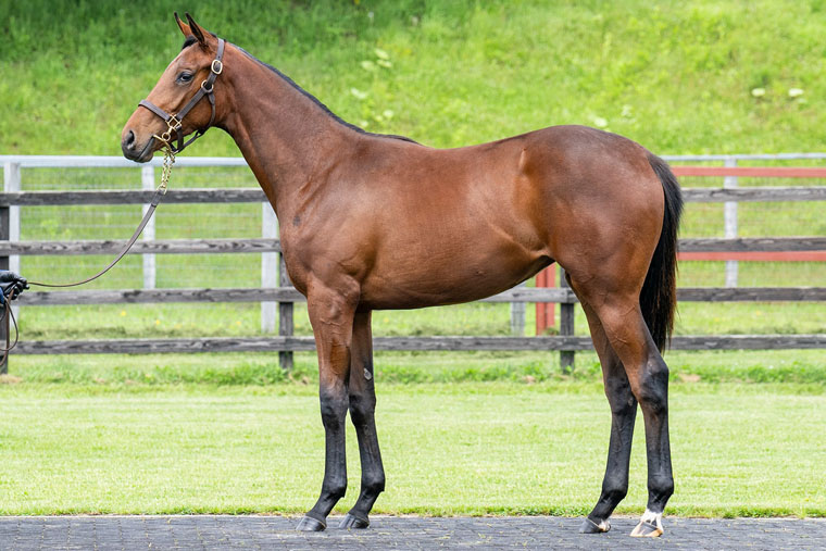 シスタリーラヴ2024