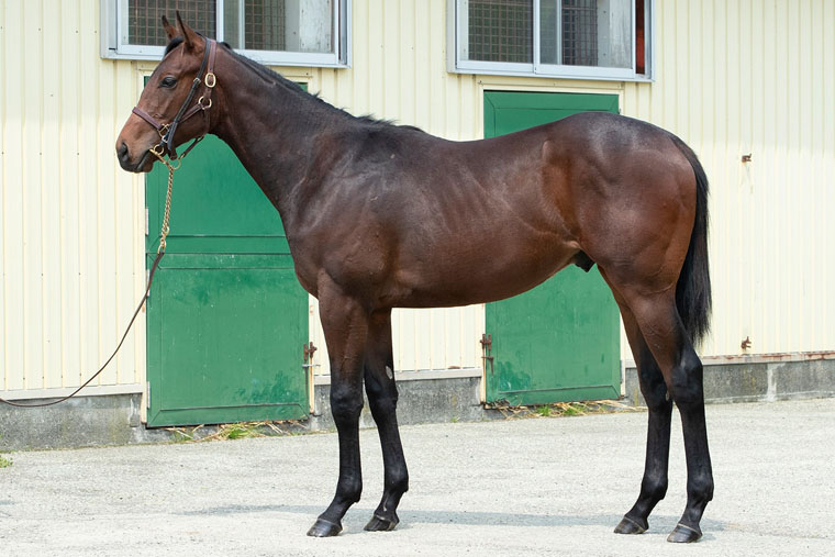 スズカモナミ2024