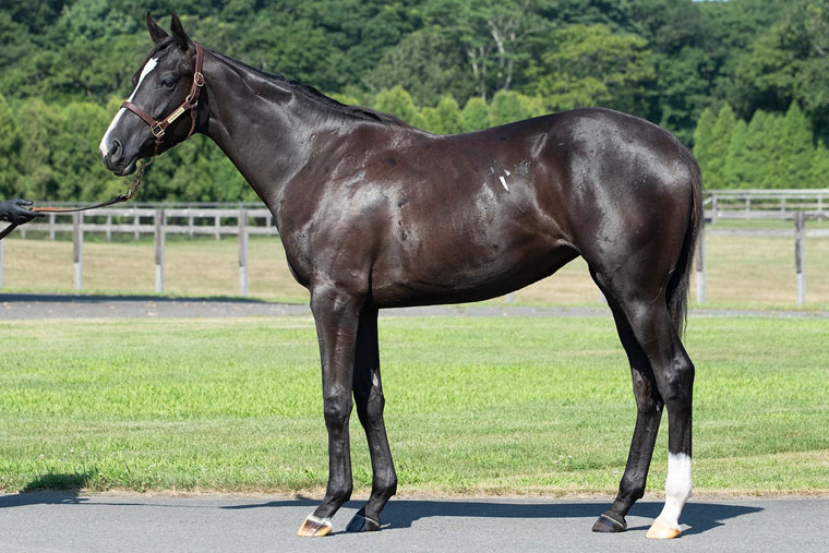 ダブルアンコール2024