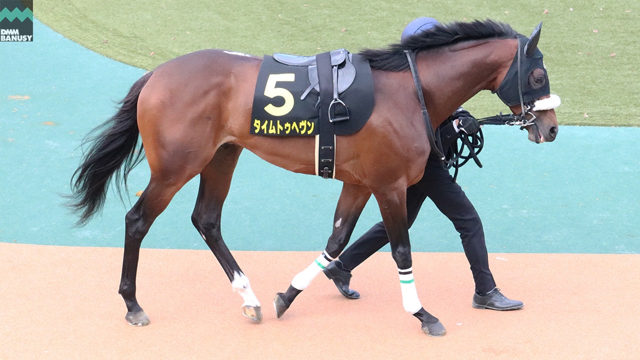 タイムトゥヘヴンの様子