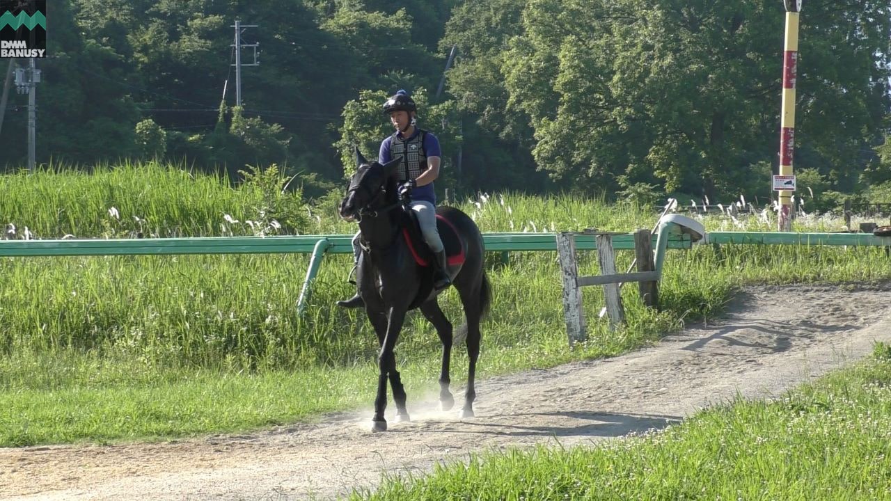 スージーテイラーの様子