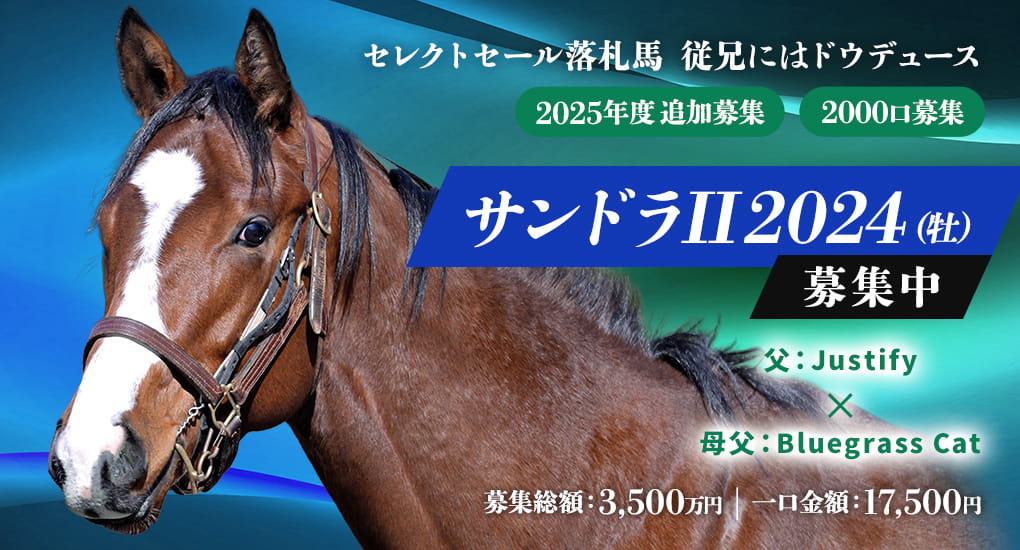2025年度追加募集馬 サンドラII2024