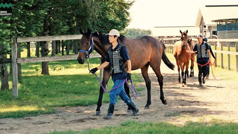 カールファターレ2024 サムネイル
