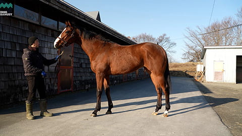 サンドラII2024 現地視察の様子サムネイル