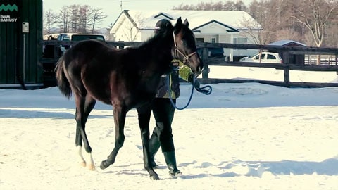 サットンプレイス2024 サムネイル